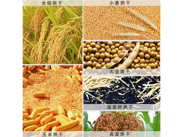 果蔬烘幹房成為廣大農民朋友的烘幹主力設備（bèi）