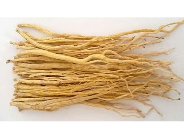 黨參烘幹（gàn）機節能環保