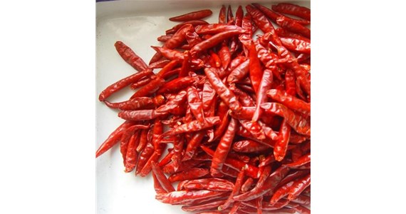 辣椒烘（hōng）幹機設備（bèi）需要特別定（dìng）製嗎