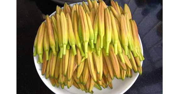 用黃花菜烘幹機烘幹後的黃花菜好吃嗎？