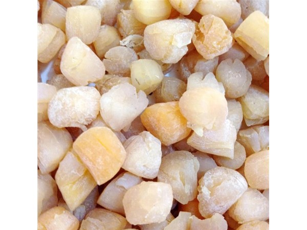 烘幹房能同時（shí）烘兩種不同物料