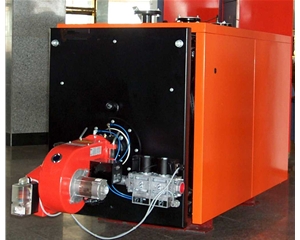燃氣燃油鍋（guō）爐(點擊進入）