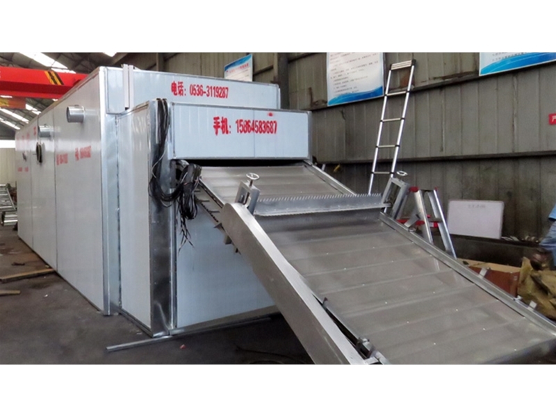 Activated carbon particle mesh belt dryer