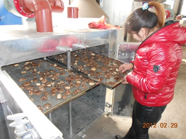 箱式蘑菇烘幹設備(點擊進入）