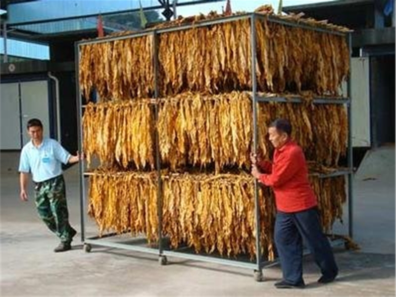 WYH係列煙草烘幹箱(點擊進入）